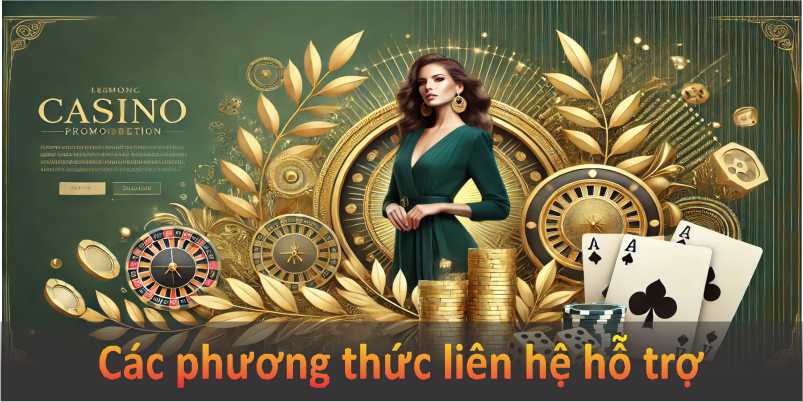 Các phương thức liên hệ hỗ trợ