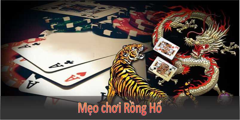 Mẹo chơi rồng hổ